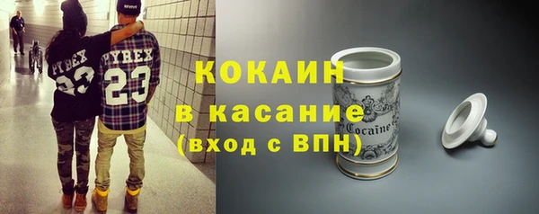 гидра Киреевск