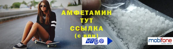 соль ск Каменка