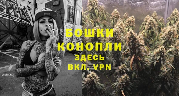 соль ск Каменка