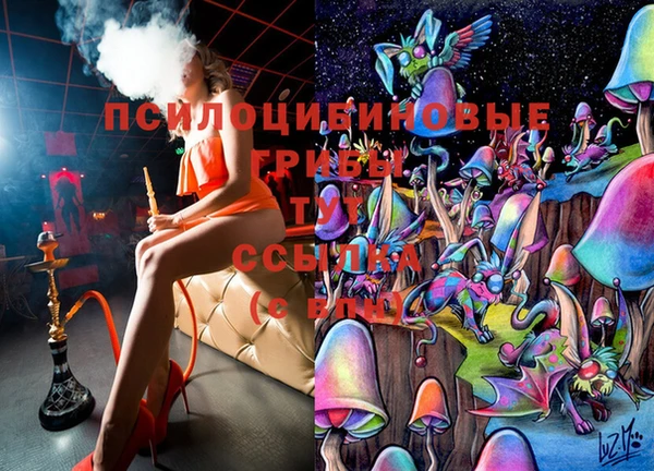соль ск Каменка