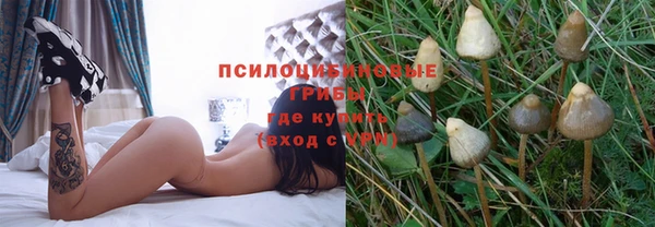 гашишное масло Каменск-Шахтинский